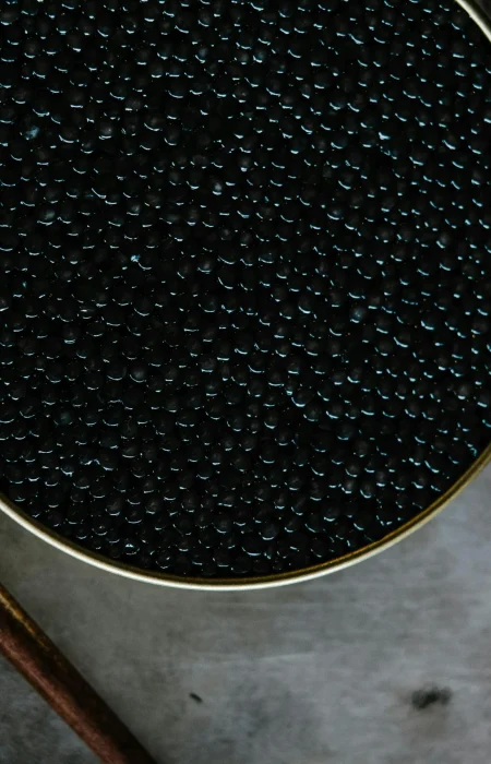 Beluga Caviar (20)
